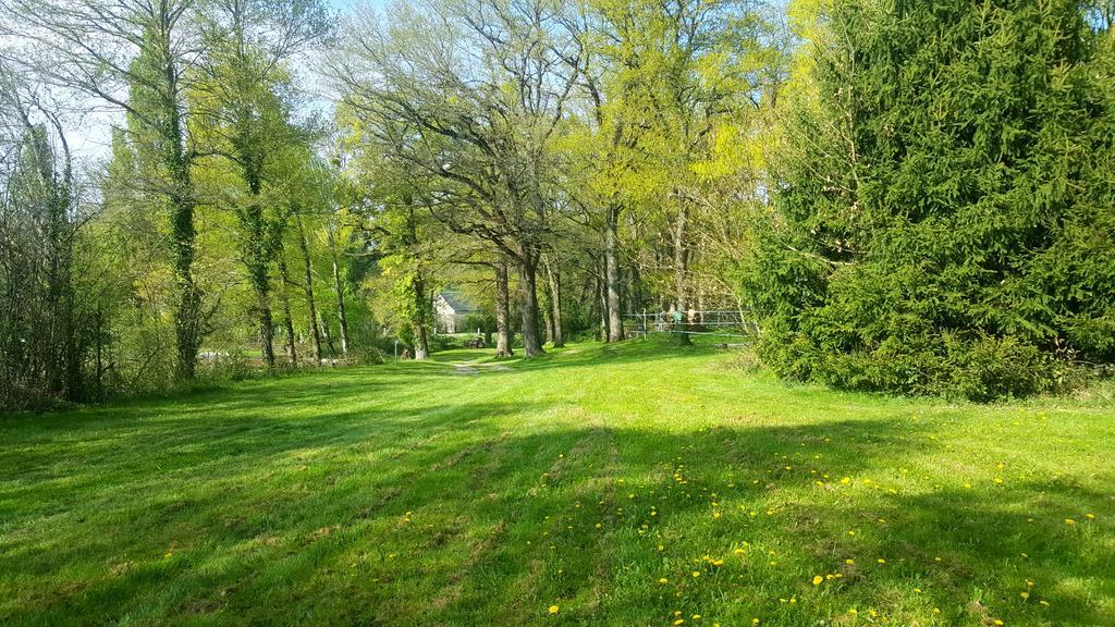 Camping De La Reuille Flere-la-Riviere エクステリア 写真